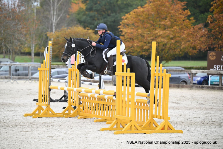 9f407bd1 31d6 482d 98f7 943ceca8adf1