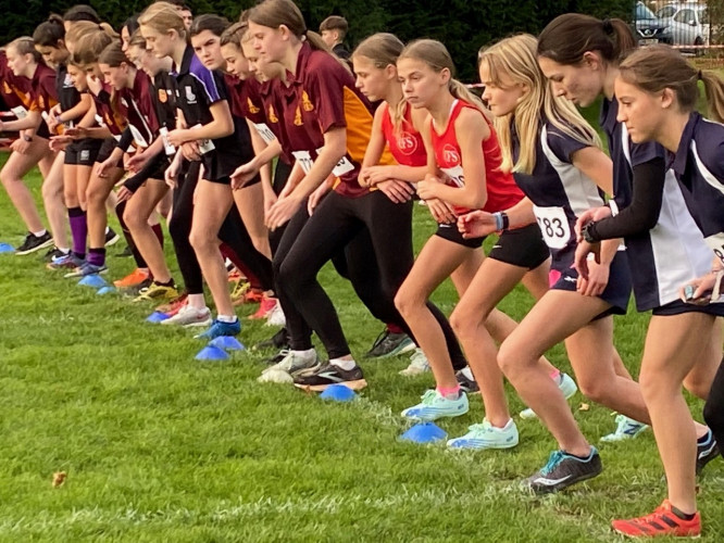 Cross Country Start Line