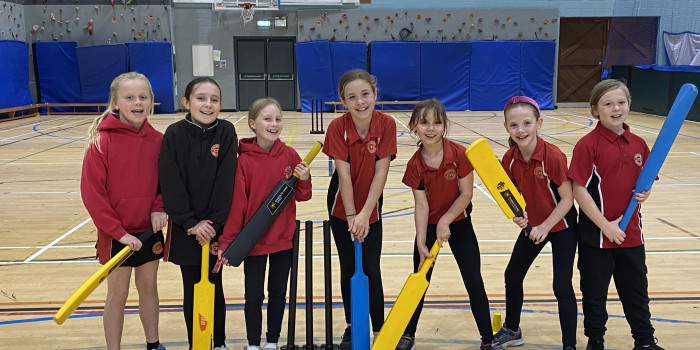 Girls cricket