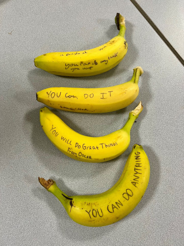 Motivational Bananas