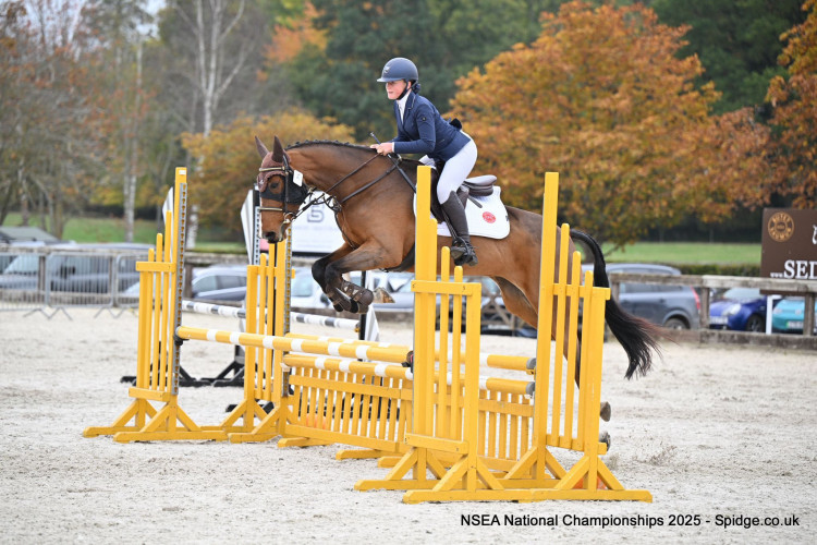 Photo 2025 10 21 14 31 40 1