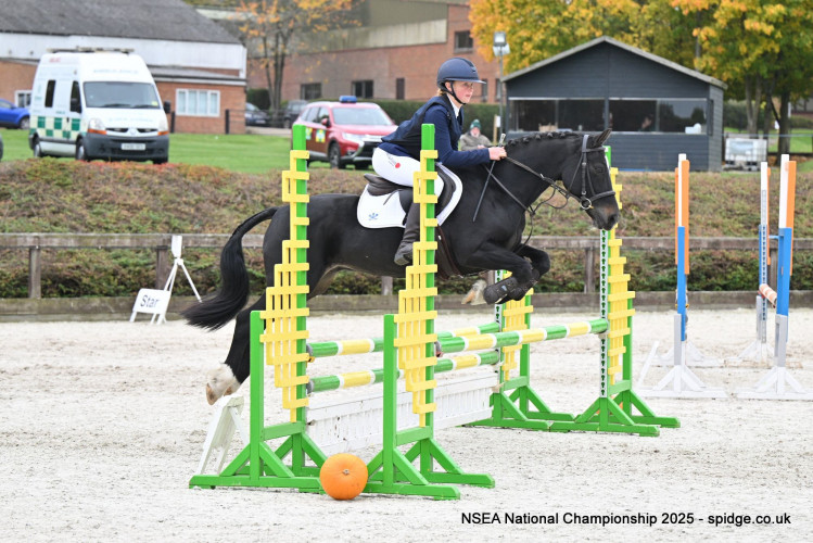 Photo 2025 10 21 14 31 40 4