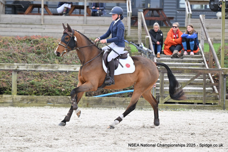 Photo 2025 10 21 14 31 40 7