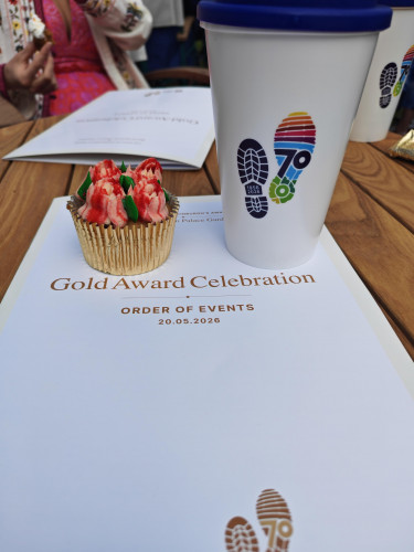 Pro Qkqzgtte