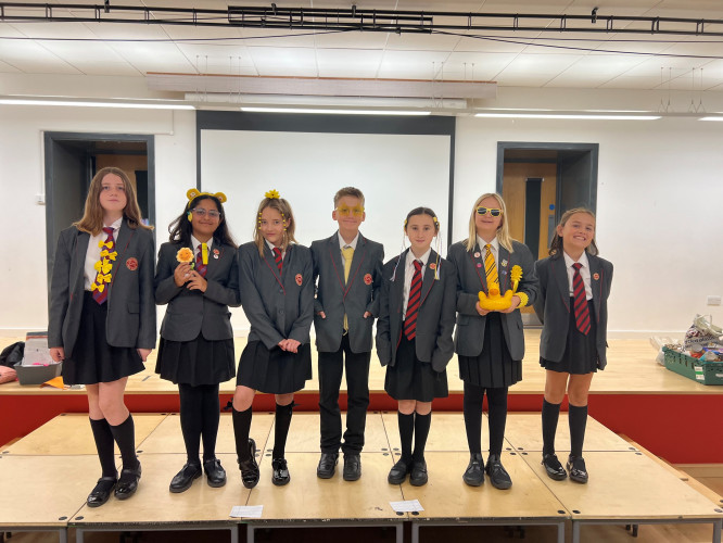 Year 7 V2